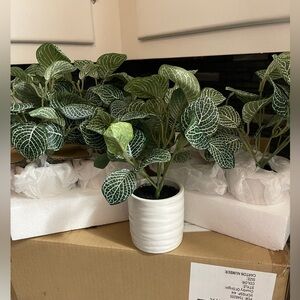 4 Artificial Plant Set Tabletop  Plants NEW Fake Plants White Planters SET